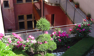 facade
