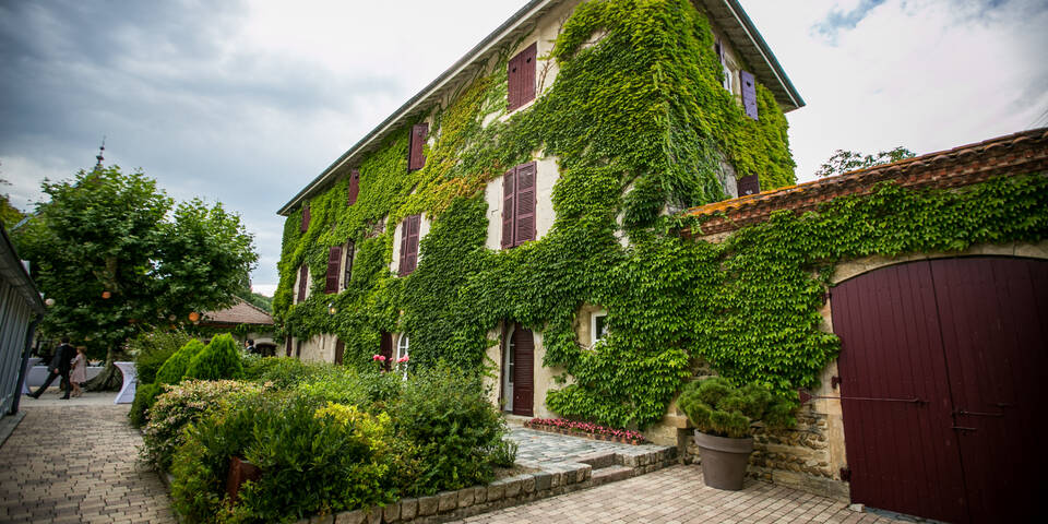facade