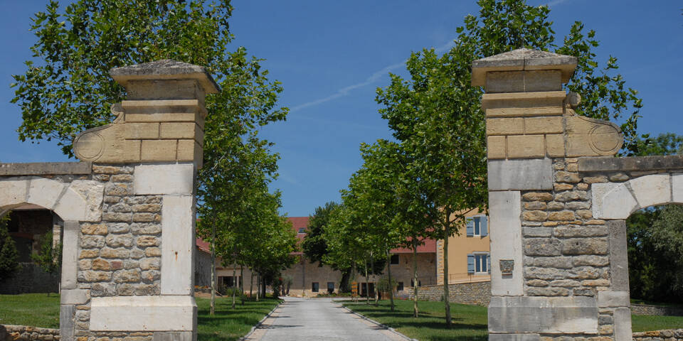 facade