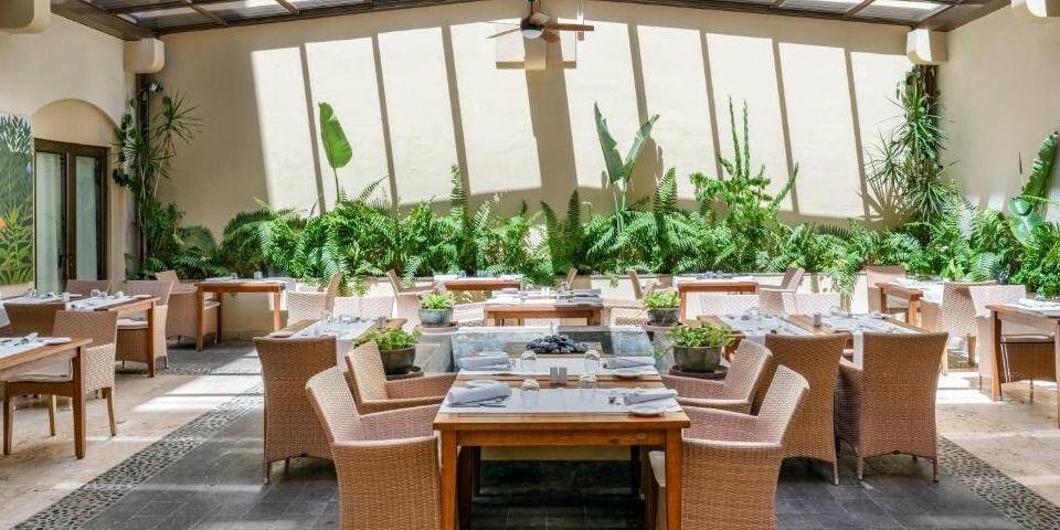 restaurant