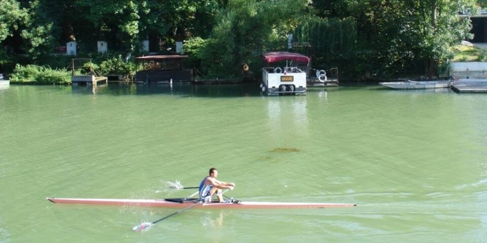 divers